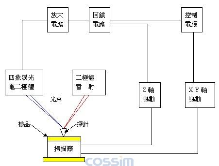 原子力顯微鏡(AFM)的結(jié)構(gòu)示意圖