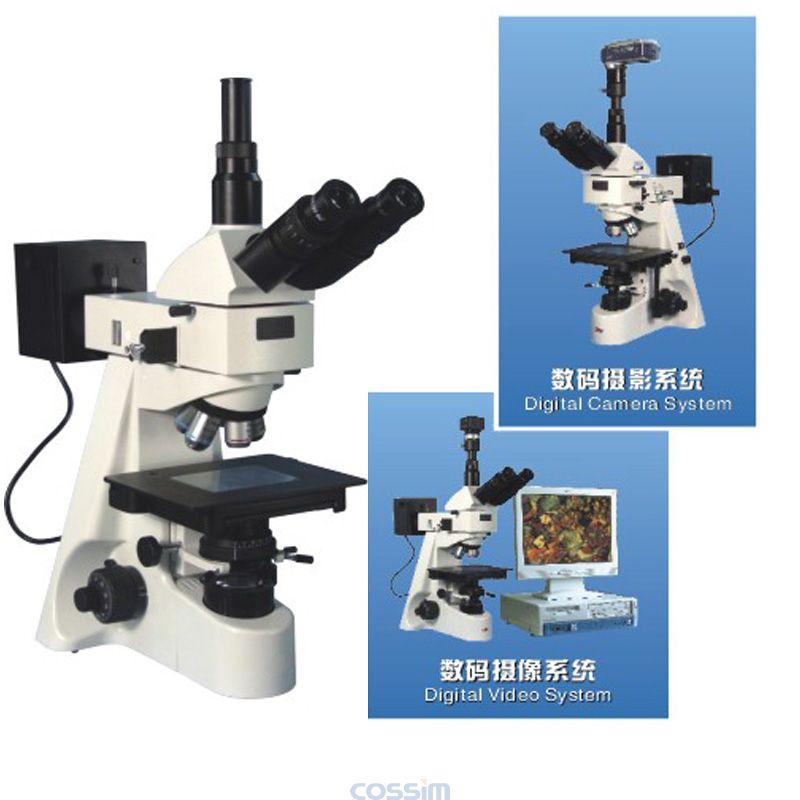 53XB三目正置金相顯微鏡 53XB三目正置金相顯微鏡