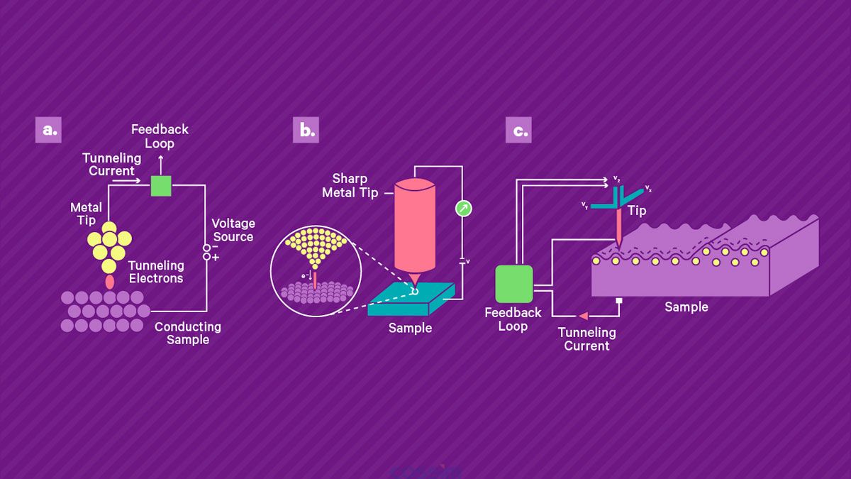 掃描隧道顯微鏡的工作原理。 a) 將鋒利的導(dǎo)電尖端靠近導(dǎo)電樣品表面并施加偏置電壓，從而產(chǎn)生穿過(guò)間隙的小隧道電流。 該電流由高增益放大器讀出。 b) 壓電掃描系統(tǒng)用于控制尖端與表面的分離并在表面上掃描尖端。 當(dāng)尖端保持在恒定高度時(shí)，電流幅度可用作尖端表面分離的直接測(cè)量，從而實(shí)現(xiàn)地形成像。 或者，可以使用反饋回路通過(guò)改變定位系統(tǒng)的控制電壓來(lái)保持恒定電流，該控制電壓被記錄下來(lái)并產(chǎn)生樣品上的形貌和電子密度的測(cè)量值。