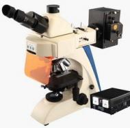 BK-FL系列<font color='red'>熒光顯微鏡</font> BK-FL系列<font color='red'>熒光顯微鏡</font>