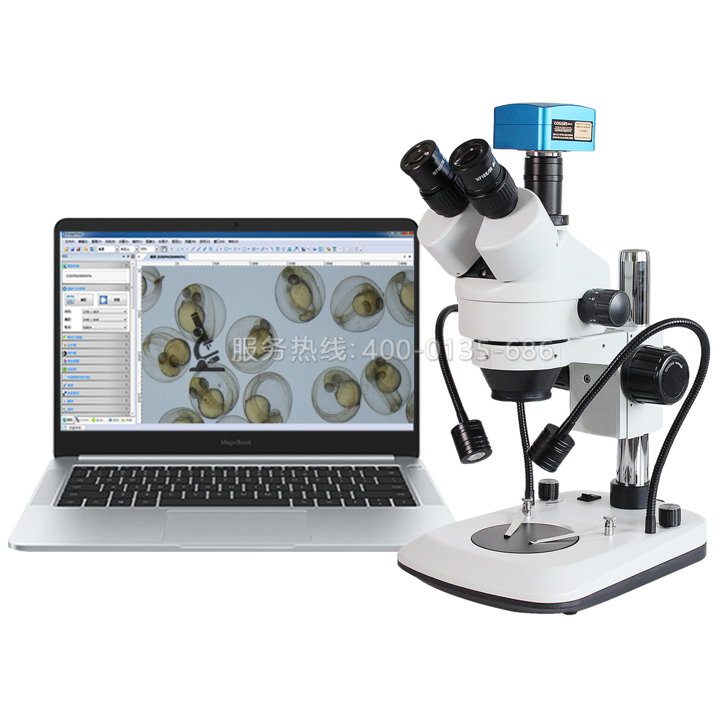 SRG-7045A三目雙側光源體視顯微鏡胚胎斑馬魚PCB板檢測