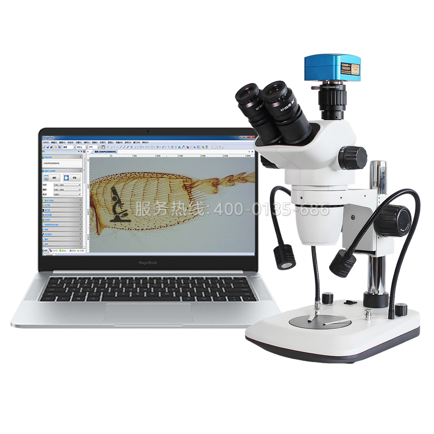 SRG-6555A三目雙側光源體視顯微鏡手機維修生物解剖